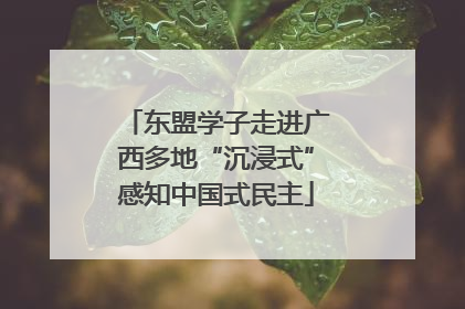 东盟学子走进广西多地“沉浸式”感知中国式民主