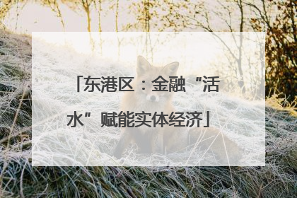 东港区：金融“活水”赋能实体经济