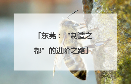 东莞：“制造之都”的进阶之路