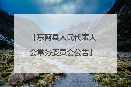 东阿县人民代表大会常务委员会公告