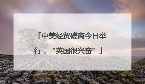 中美经贸磋商今日举行，“英国很兴奋”