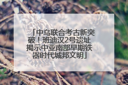 中乌联合考古新突破！班迪汉2号遗址揭示中亚南部早期铁器时代城邦文明