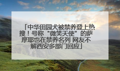中华田园犬被禁养登上热搜！号称“微笑天使”的萨摩耶也在禁养名列 网友不解西安多部门回应