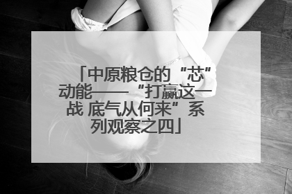 中原粮仓的“芯”动能——“打赢这一战 底气从何来”系列观察之四