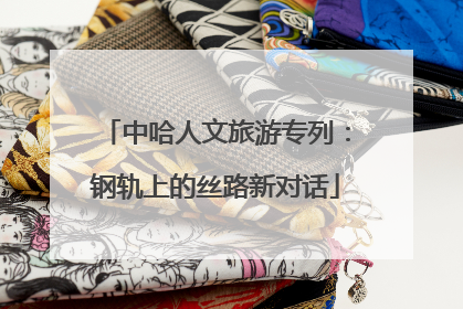 中哈人文旅游专列：钢轨上的丝路新对话