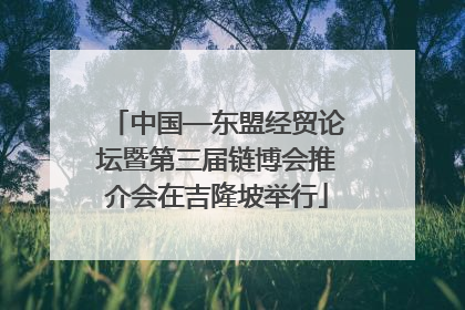 中国—东盟经贸论坛暨第三届链博会推介会在吉隆坡举行