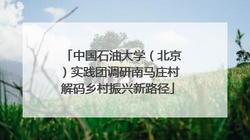 中国石油大学（北京）实践团调研南马庄村解码乡村振兴新路径