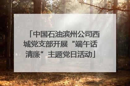 中国石油滨州公司西城党支部开展“端午话清廉”主题党日活动