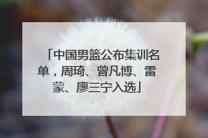 中国男篮公布集训名单，周琦、曾凡博、雷蒙、廖三宁入选