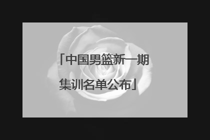 中国男篮新一期集训名单公布
