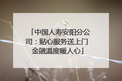 中国人寿安阳分公司：贴心服务送上门 金融温度暖人心