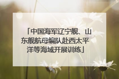 中国海军辽宁舰、山东舰航母编队赴西太平洋等海域开展训练