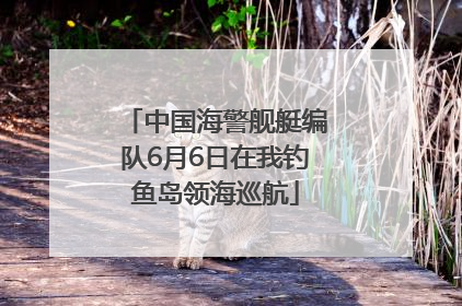 中国海警舰艇编队6月6日在我钓鱼岛领海巡航