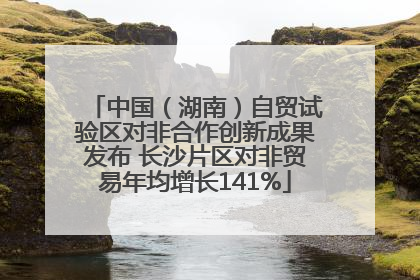 中国（湖南）自贸试验区对非合作创新成果发布 长沙片区对非贸易年均增长141%