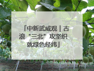 中新武威观｜古浪“三北”攻坚织就绿色经纬