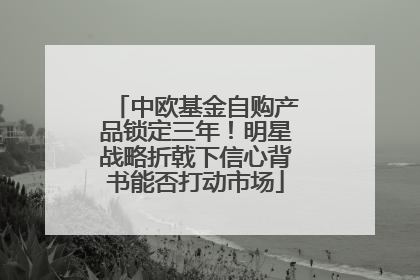 中欧基金自购产品锁定三年！明星战略折戟下信心背书能否打动市场