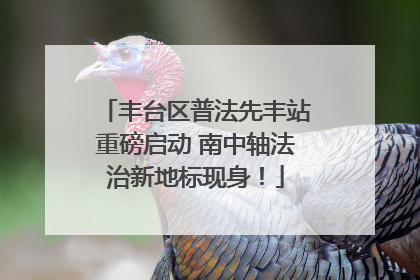 丰台区普法先丰站重磅启动 南中轴法治新地标现身！