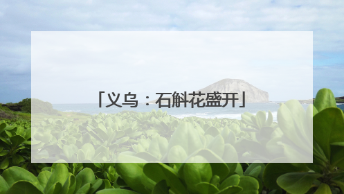 义乌：石斛花盛开