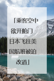 乘客空中欲开舱门 日本飞往美国航班被迫改道