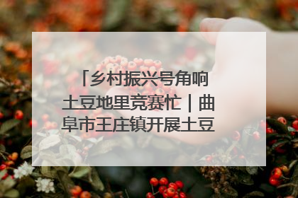 乡村振兴号角响 土豆地里竞赛忙｜曲阜市王庄镇开展土豆收获劳动竞赛