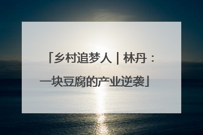 乡村追梦人｜林丹：一块豆腐的产业逆袭