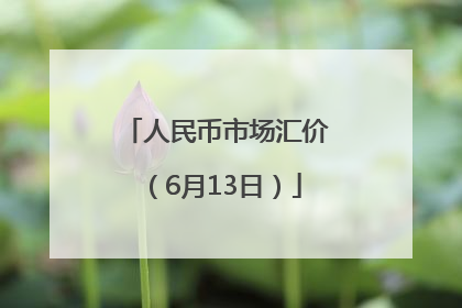 人民币市场汇价（6月13日）