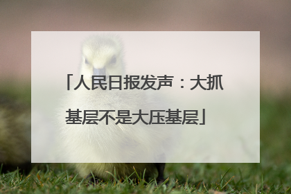 人民日报发声：大抓基层不是大压基层