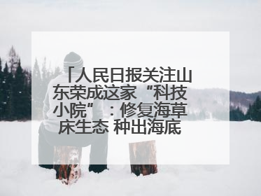 人民日报关注山东荣成这家“科技小院”：修复海草床生态 种出海底“森林”