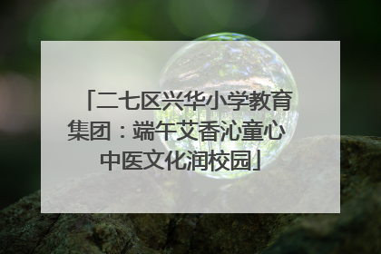 二七区兴华小学教育集团：端午艾香沁童心 中医文化润校园