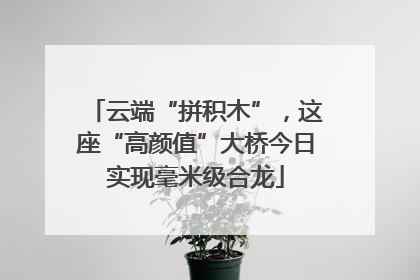 云端“拼积木”，这座“高颜值”大桥今日实现毫米级合龙