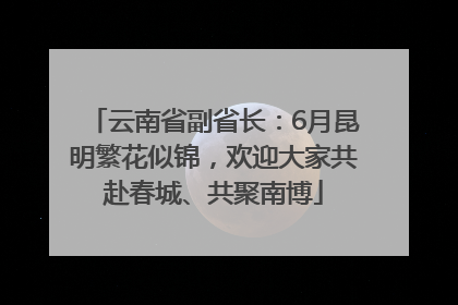 云南省副省长：6月昆明繁花似锦，欢迎大家共赴春城、共聚南博