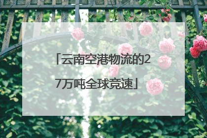 云南空港物流的27万吨全球竞速