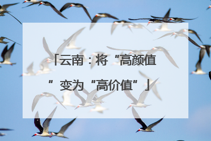 云南：将“高颜值”变为“高价值”
