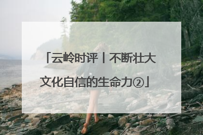 云岭时评丨不断壮大文化自信的生命力②