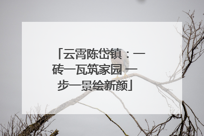 云霄陈岱镇：一砖一瓦筑家园 一步一景绘新颜
