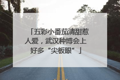 五彩小番茄清甜惹人爱，武汉种博会上好多“尖板眼”