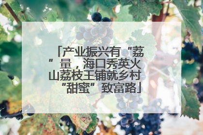 产业振兴有“荔”量，海口秀英火山荔枝王铺就乡村“甜蜜”致富路