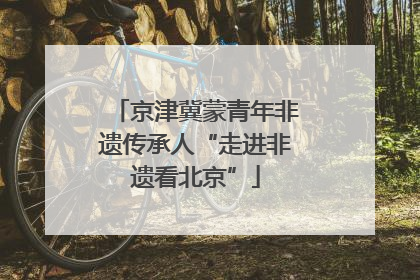 京津冀蒙青年非遗传承人“走进非遗看北京”