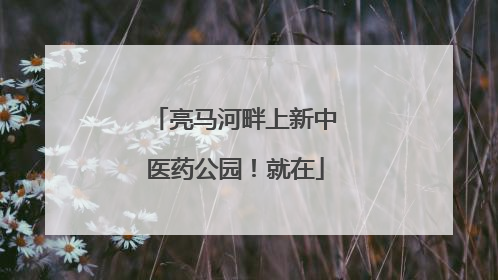 亮马河畔上新中医药公园！就在