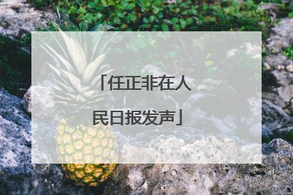 任正非在人民日报发声