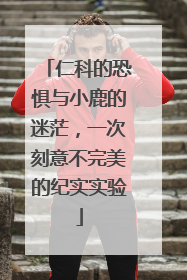 仁科的恐惧与小鹿的迷茫，一次刻意不完美的纪实实验