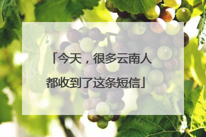 今天，很多云南人都收到了这条短信