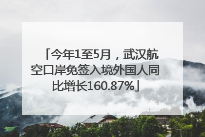 今年1至5月，武汉航空口岸免签入境外国人同比增长160.87%