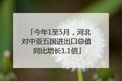 今年1至5月，河北对中亚五国进出口总值同比增长1.1倍