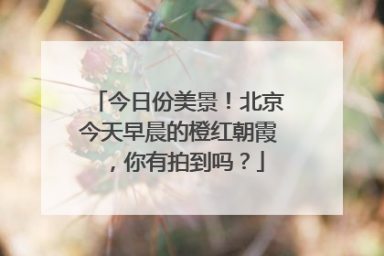 今日份美景！北京今天早晨的橙红朝霞，你有拍到吗？