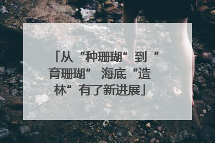 从“种珊瑚”到“育珊瑚” 海底“造林”有了新进展
