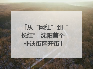 从“网红”到“长红” 沈阳首个非遗街区开街