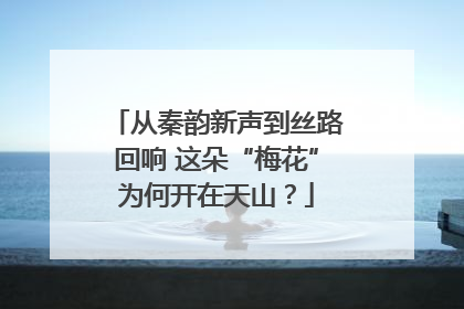 从秦韵新声到丝路回响 这朵“梅花”为何开在天山？