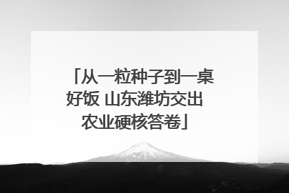 从一粒种子到一桌好饭 山东潍坊交出农业硬核答卷