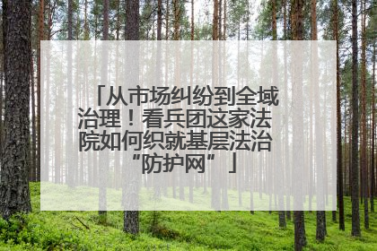 从市场纠纷到全域治理！看兵团这家法院如何织就基层法治 “防护网”